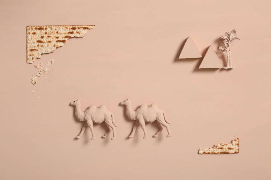 camels, desert, matzo, matza, pyramids, egypt