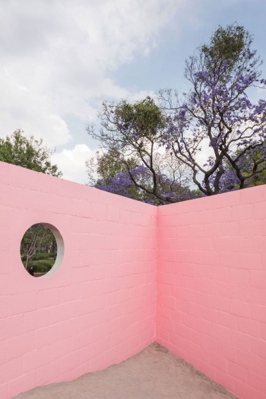 The-Room-Mini-Urban-Garden-in-Mexico-City-by-Matteo-Ghidoni-and-Enrico-Dusi-cafe veyafe (1)