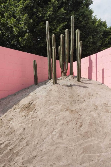The-Room-Mini-Urban-Garden-in-Mexico-City-by-Matteo-Ghidoni-and-Enrico-Dusi-cafe veyafe (5)
